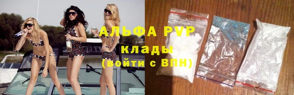 ПСИЛОЦИБИНОВЫЕ ГРИБЫ Вязники