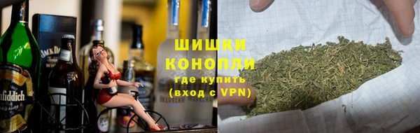 ПСИЛОЦИБИНОВЫЕ ГРИБЫ Вязники