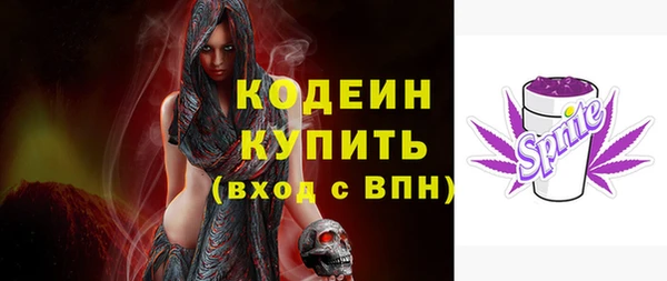 ПСИЛОЦИБИНОВЫЕ ГРИБЫ Вязники