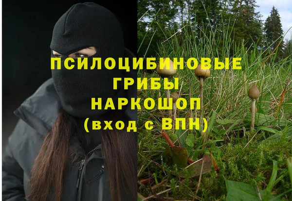 соль ск Вязьма