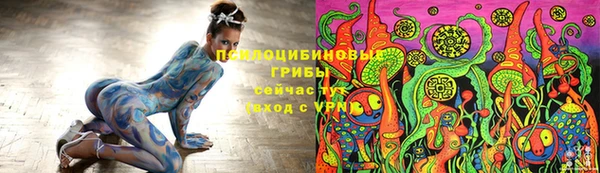 соль курить ск Горно-Алтайск