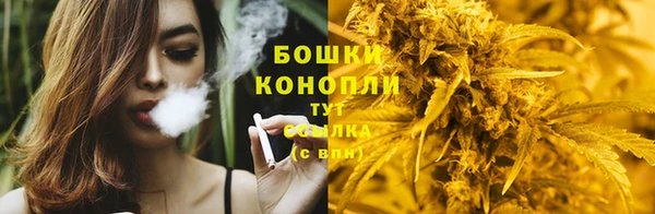 ПСИЛОЦИБИНОВЫЕ ГРИБЫ Вязники