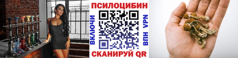 shop как зайти  Инза  Псилоцибиновые грибы Cubensis 